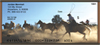 The Roundup